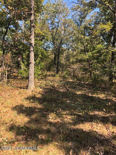 665 Coelleda School Road Roach, MO 65787 - Photo 13 of 14