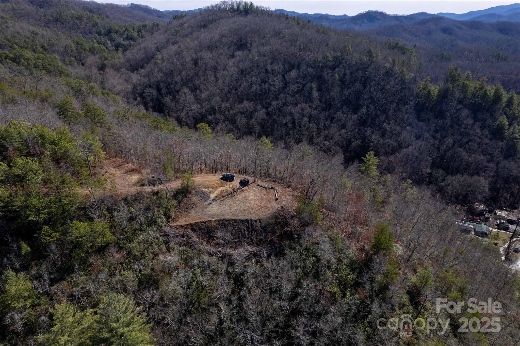 Lot 22 Rusty's Ridge Road Bryson City, NC 28713 - Photo 3 of 10 a view of a forest