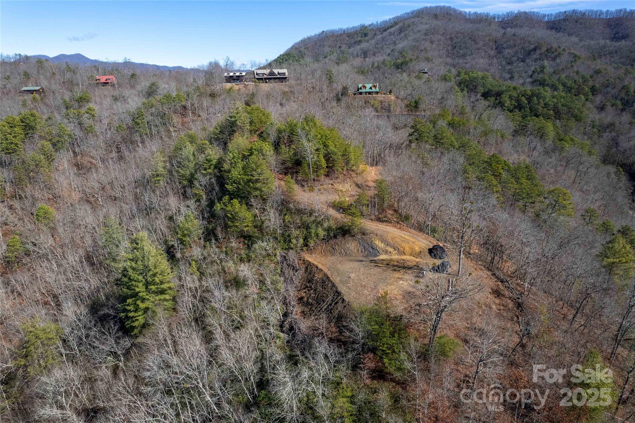 Lot 22 Rusty's Ridge Road Bryson City, NC 28713 - Photo 4 of 10 an aerial view of forest