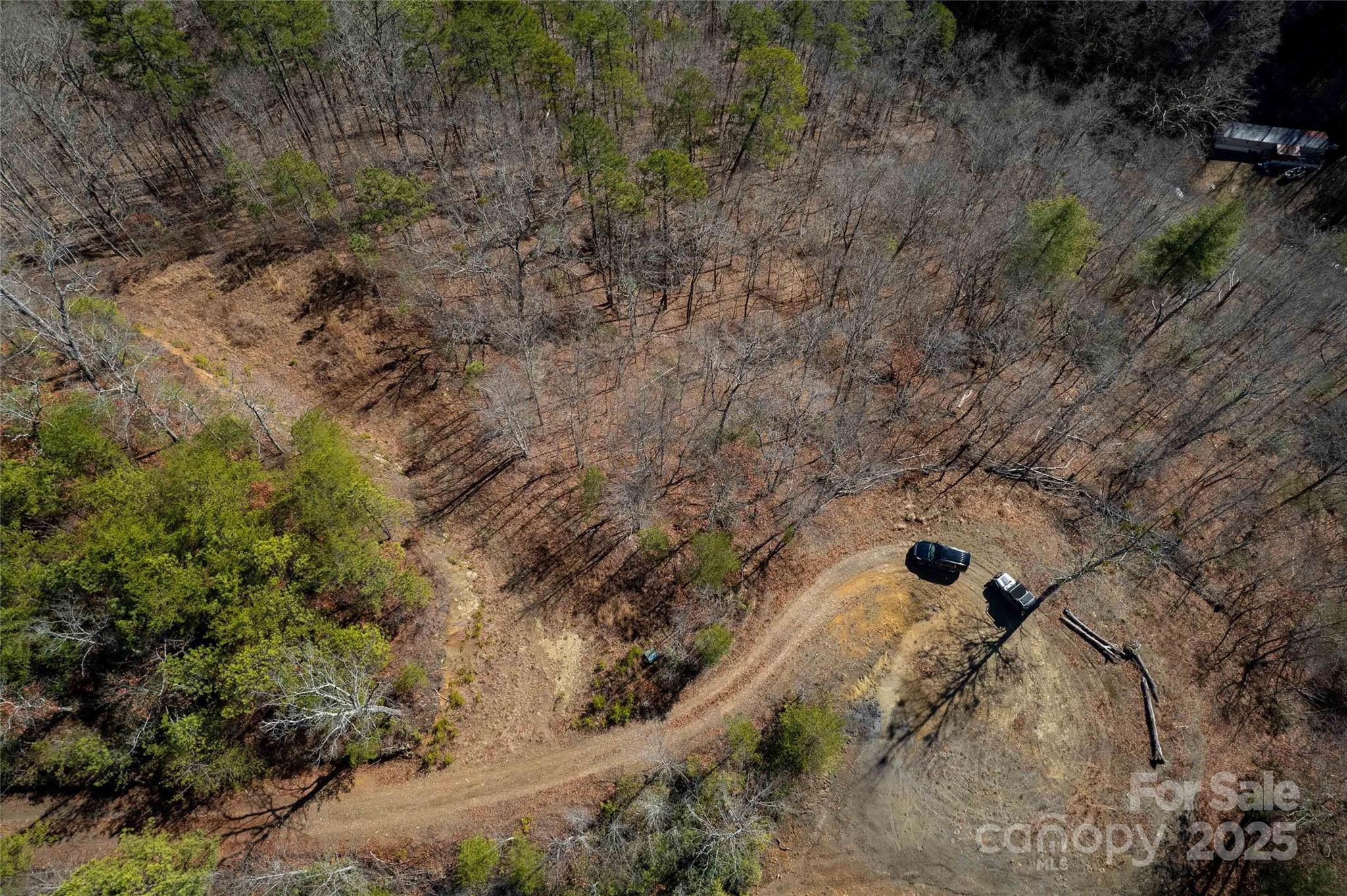 Lot 22 Rusty's Ridge Road Bryson City, NC 28713 - Photo 8 of 10 a view of a dry yard with trees in the background