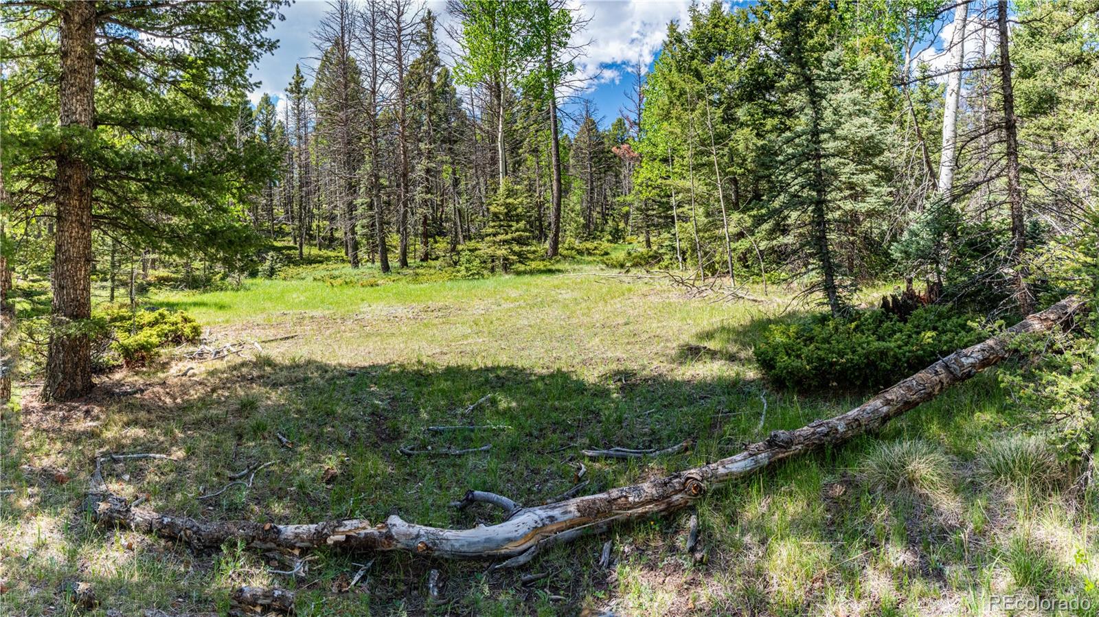 298 Steven Road Canon City, CO 81212 - Photo 29 of 35