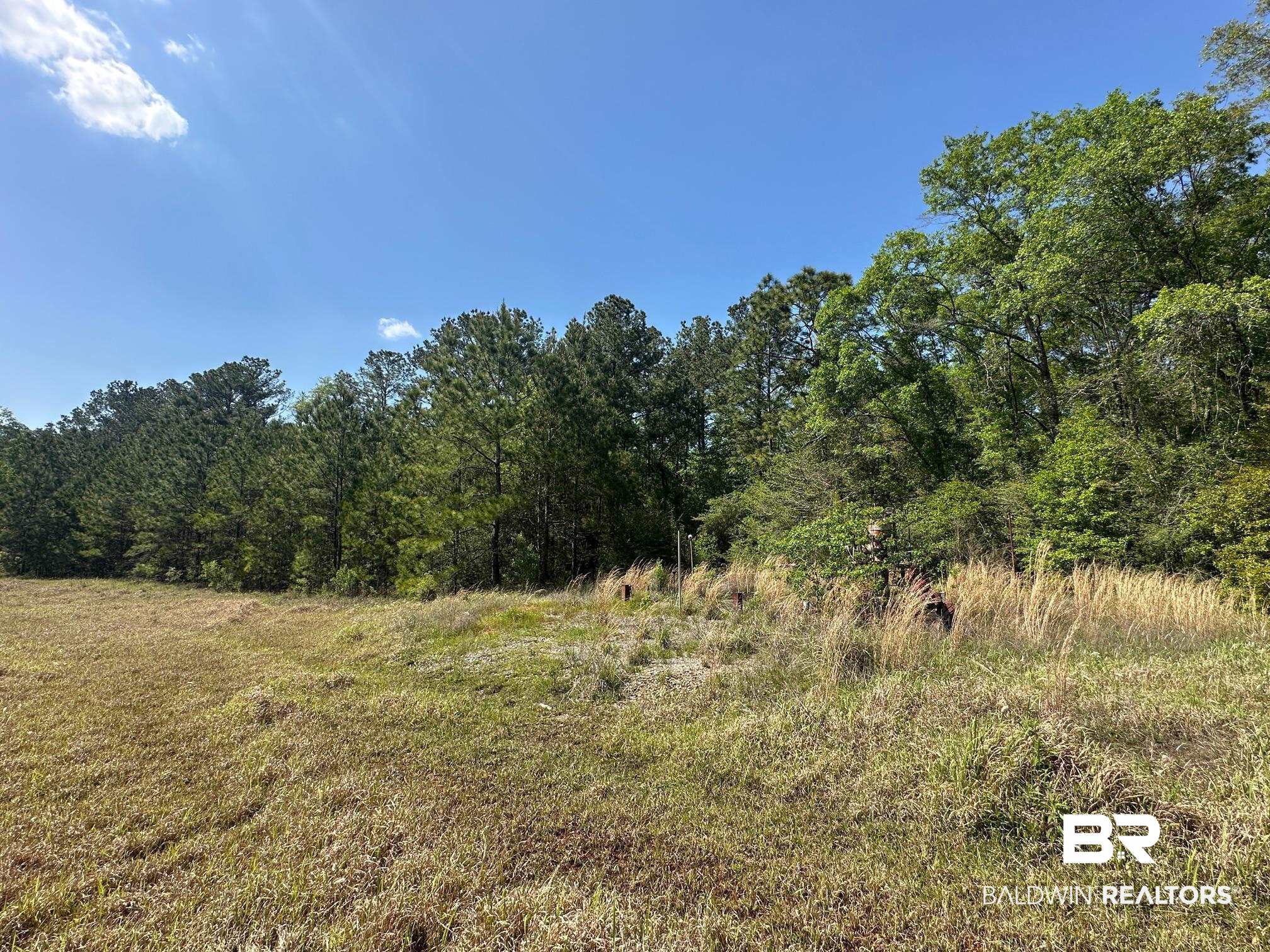 0 I-65 Service Road Satsuma, AL 36572 - Photo 9 of 27 View of nature featuring a forest view