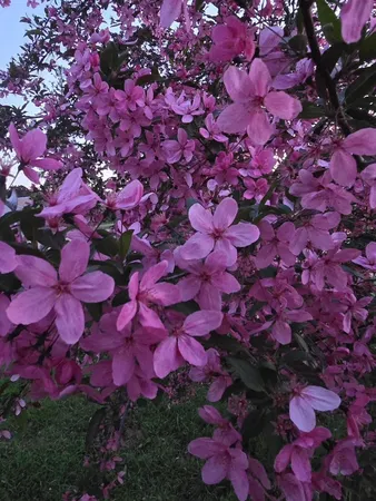 $174,000 | 162 Sioux Street, Winona, MN 55987