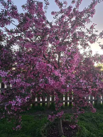 $174,000 | 162 Sioux Street, Winona, MN 55987