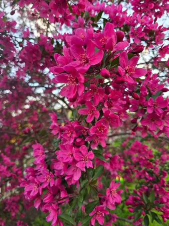 $174,000 | 162 Sioux Street, Winona, MN 55987