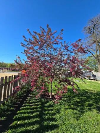 $174,000 | 162 Sioux Street, Winona, MN 55987