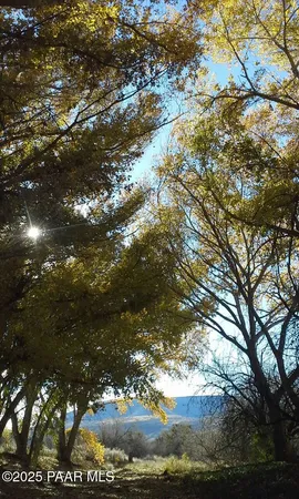 a front view of a house with a yard table and chairs