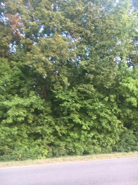 4218 Donnan Road Macon, GA 31217 - Photo 2 of 2 Donnan1