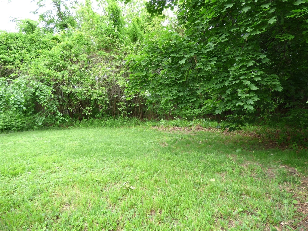 16-18 Daniel Street Springfield, MA 01151 - Photo 14 of 14 a view of room with lush green forest
