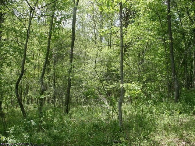 0 Pike Road Ellenboro, WV 26346 - Photo 2 of 7 Gallery Image 2