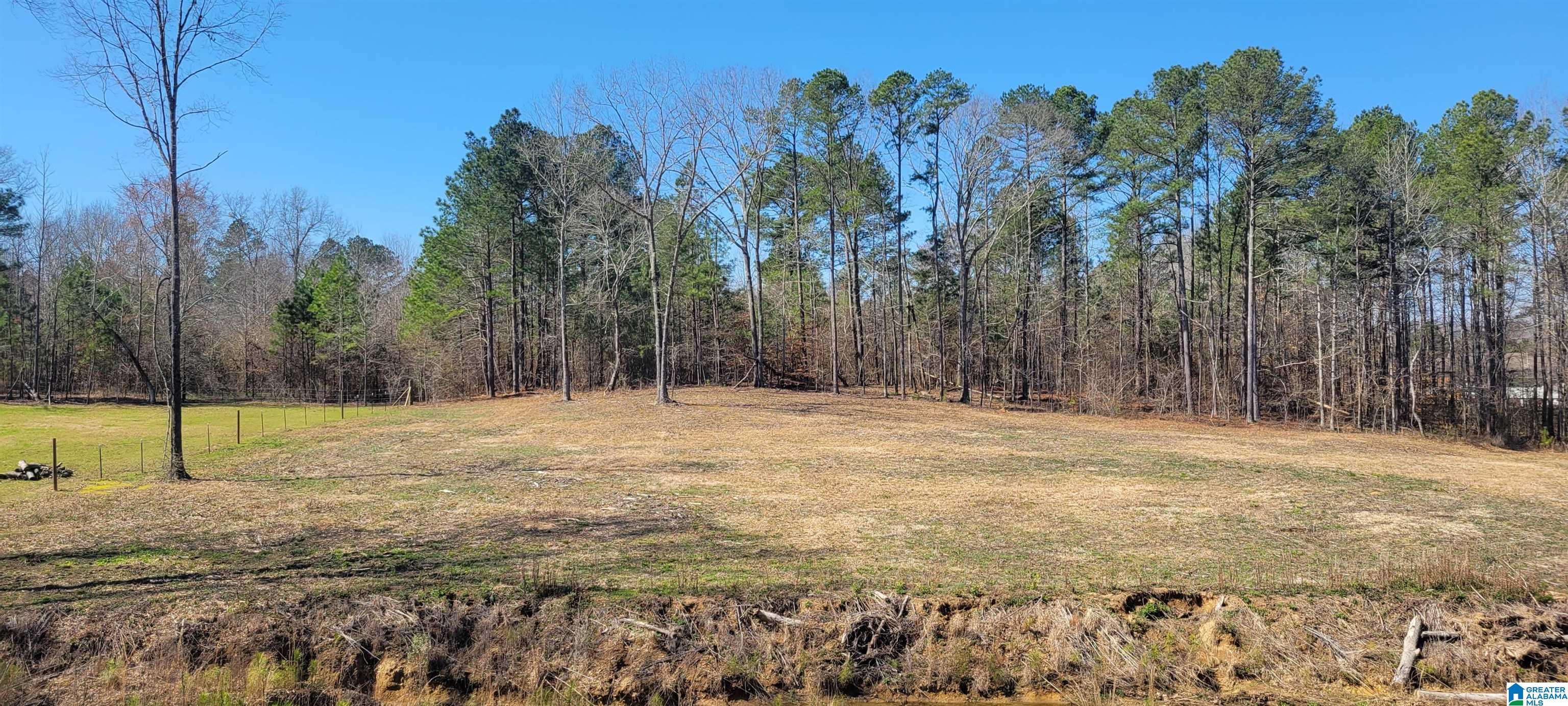 220 Beaver Ridge Circle Ashville, AL 35953 - Photo 50 of 50