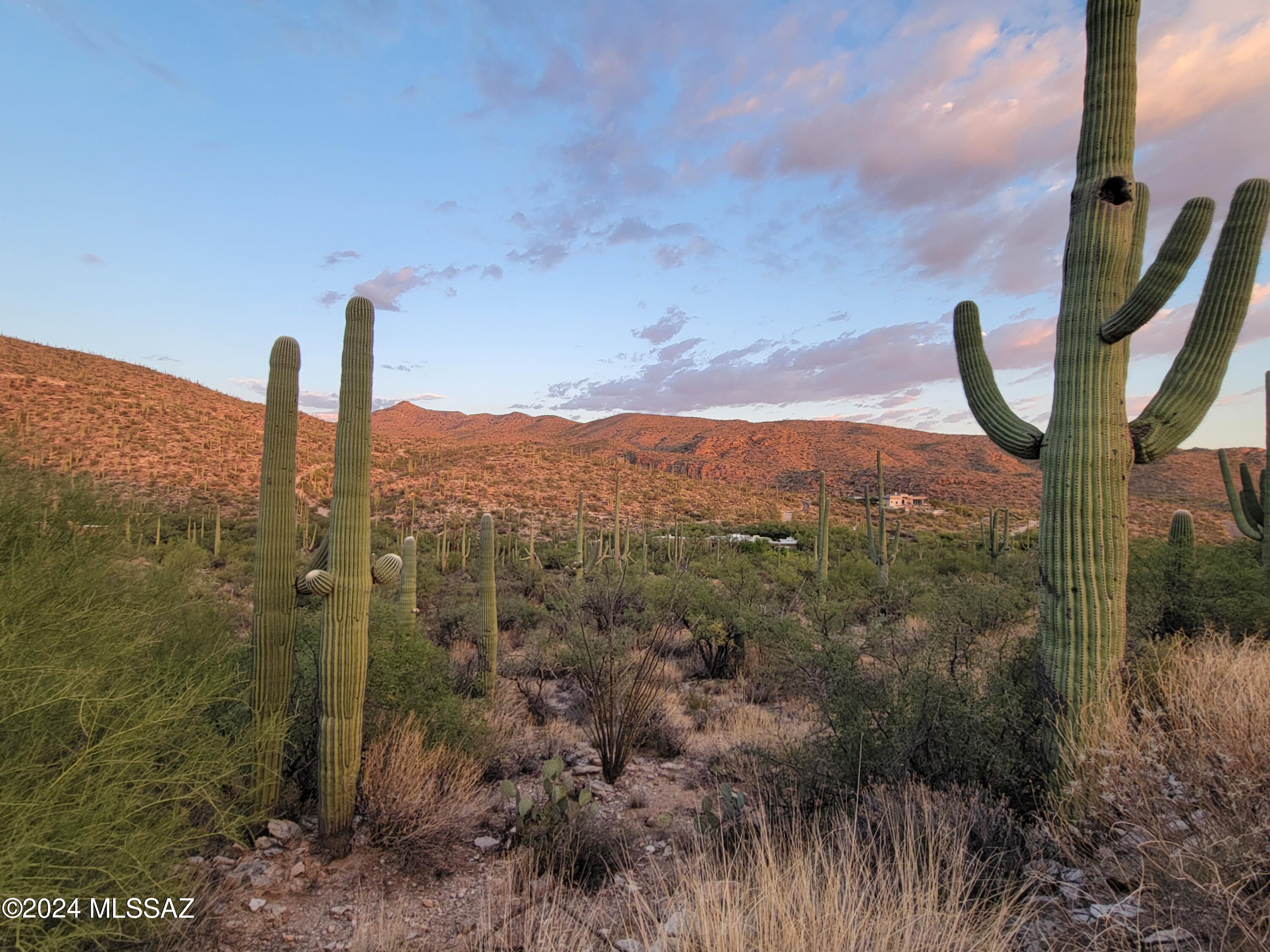 Tbd North Wentworth Road Tucson, AZ 85749 - Photo 9 of 18 Gallery Image 9