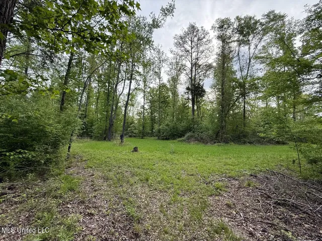 $569,500 | Eden Midway Road, Yazoo City, MS 39194