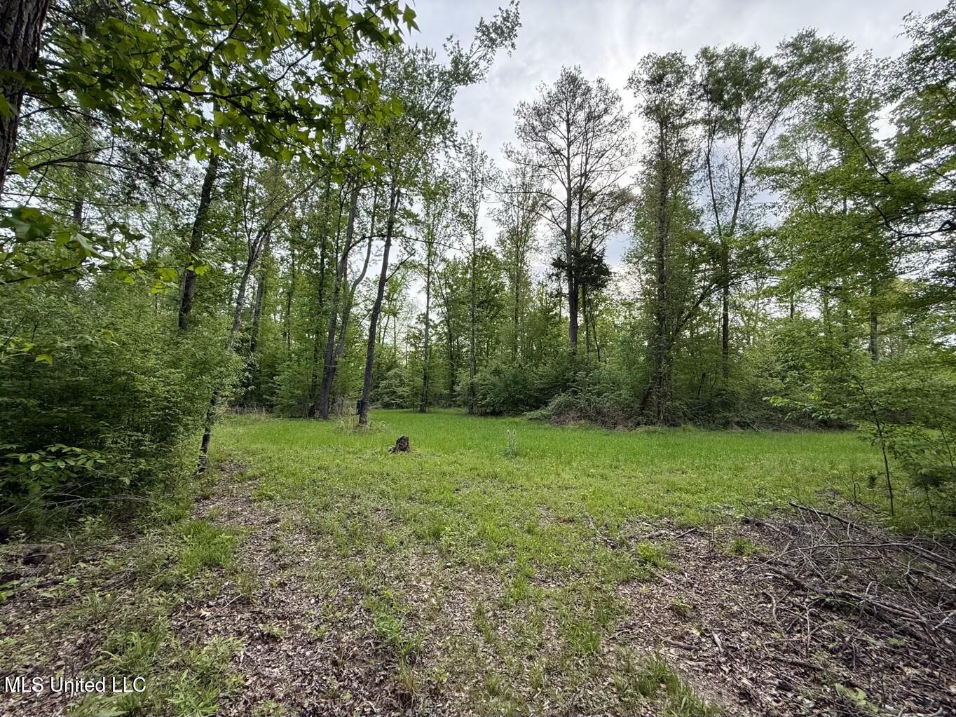 Eden Midway Road Yazoo City, MS 39194 - Photo 12 of 48 tempImageuNgCHs