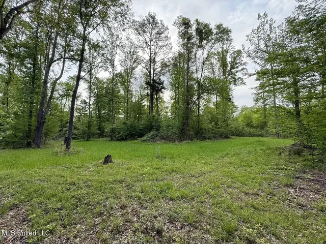$569,500 | Eden Midway Road, Yazoo City, MS 39194