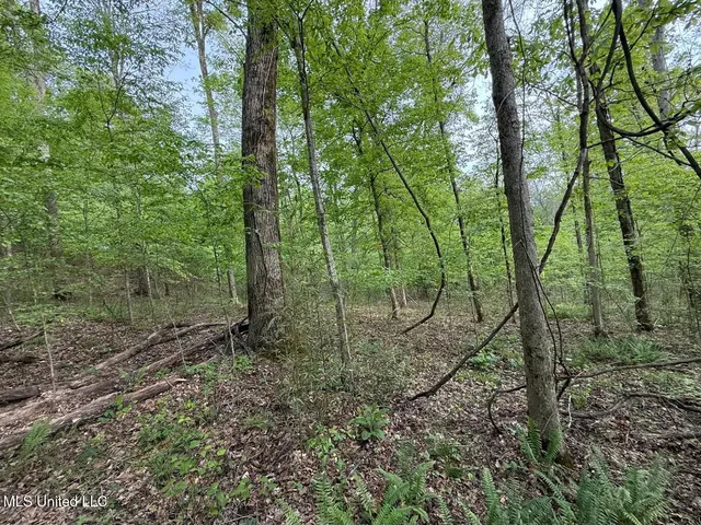 $569,500 | Eden Midway Road, Yazoo City, MS 39194