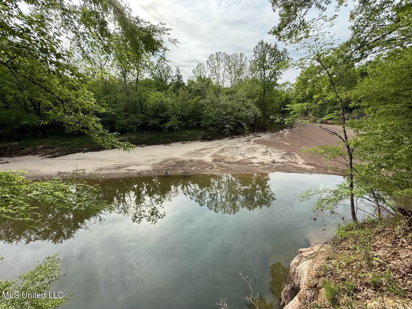 Eden Midway Road Yazoo City, MS 39194 - Photo 16 of 48 tempImageZUrRV6
