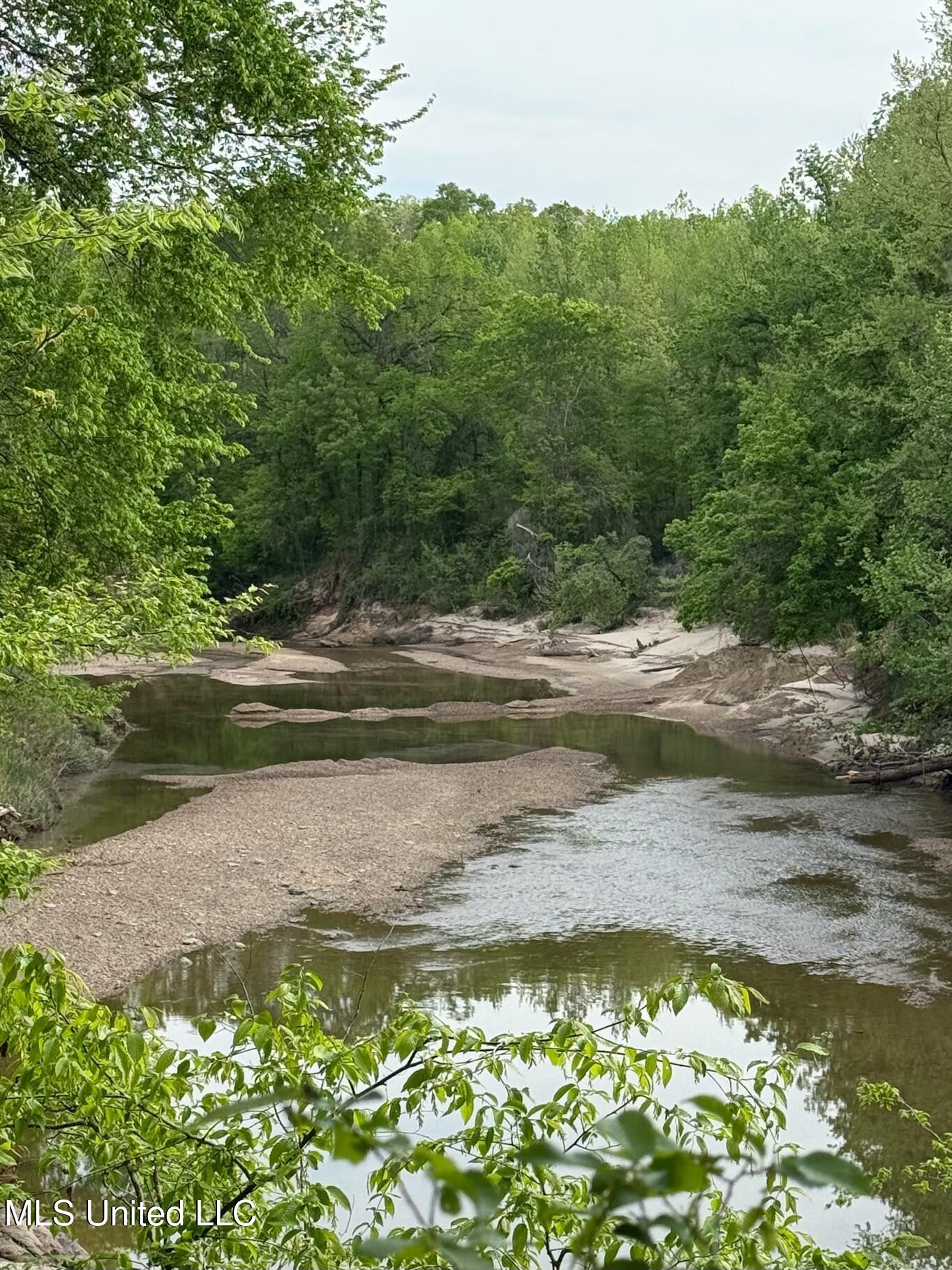 Eden Midway Road Yazoo City, MS 39194 - Photo 17 of 48 tempImageg5OQpQ