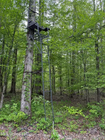 $569,500 | Eden Midway Road, Yazoo City, MS 39194