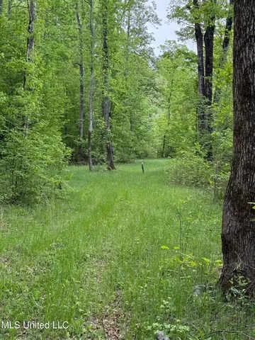 $569,500 | Eden Midway Road, Yazoo City, MS 39194