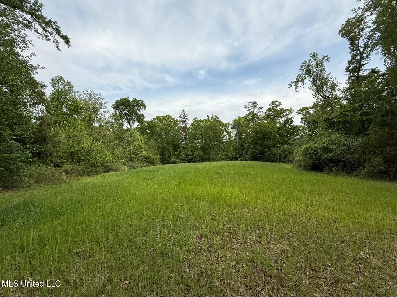 Eden Midway Road Yazoo City, MS 39194 - Photo 2 of 48 tempImageKNhPmU