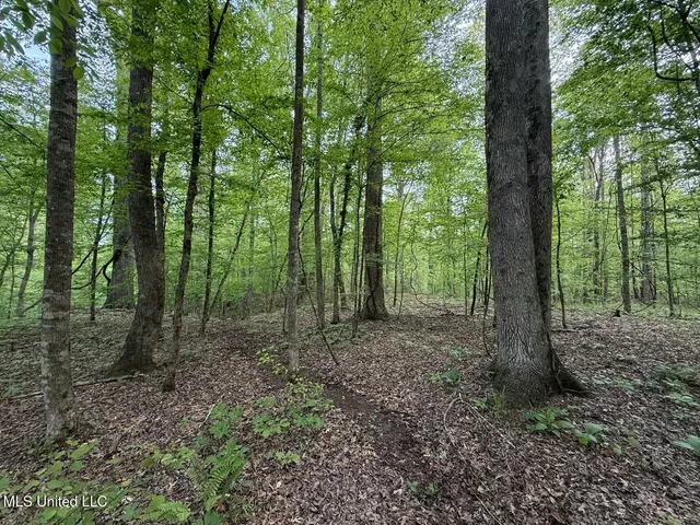 $569,500 | Eden Midway Road, Yazoo City, MS 39194