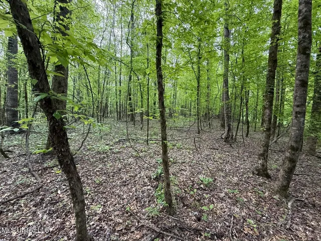 $569,500 | Eden Midway Road, Yazoo City, MS 39194