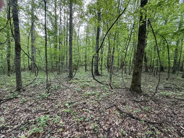 $569,500 | Eden Midway Road, Yazoo City, MS 39194