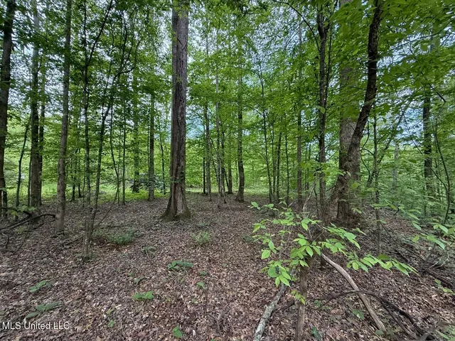 $569,500 | Eden Midway Road, Yazoo City, MS 39194