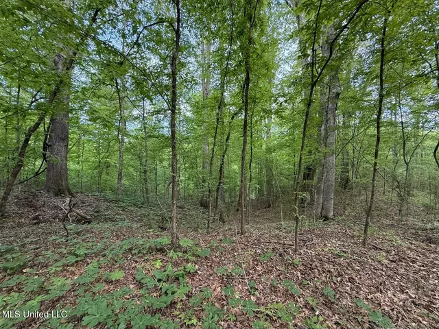 $569,500 | Eden Midway Road, Yazoo City, MS 39194