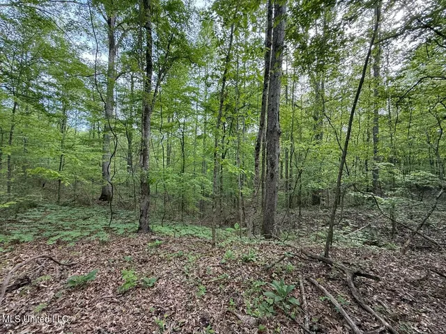 $569,500 | Eden Midway Road, Yazoo City, MS 39194