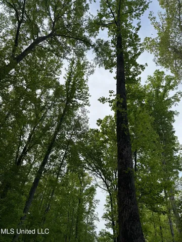 $569,500 | Eden Midway Road, Yazoo City, MS 39194