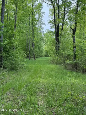 $569,500 | Eden Midway Road, Yazoo City, MS 39194