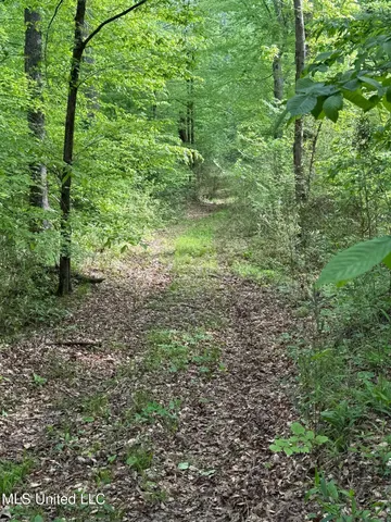 $569,500 | Eden Midway Road, Yazoo City, MS 39194