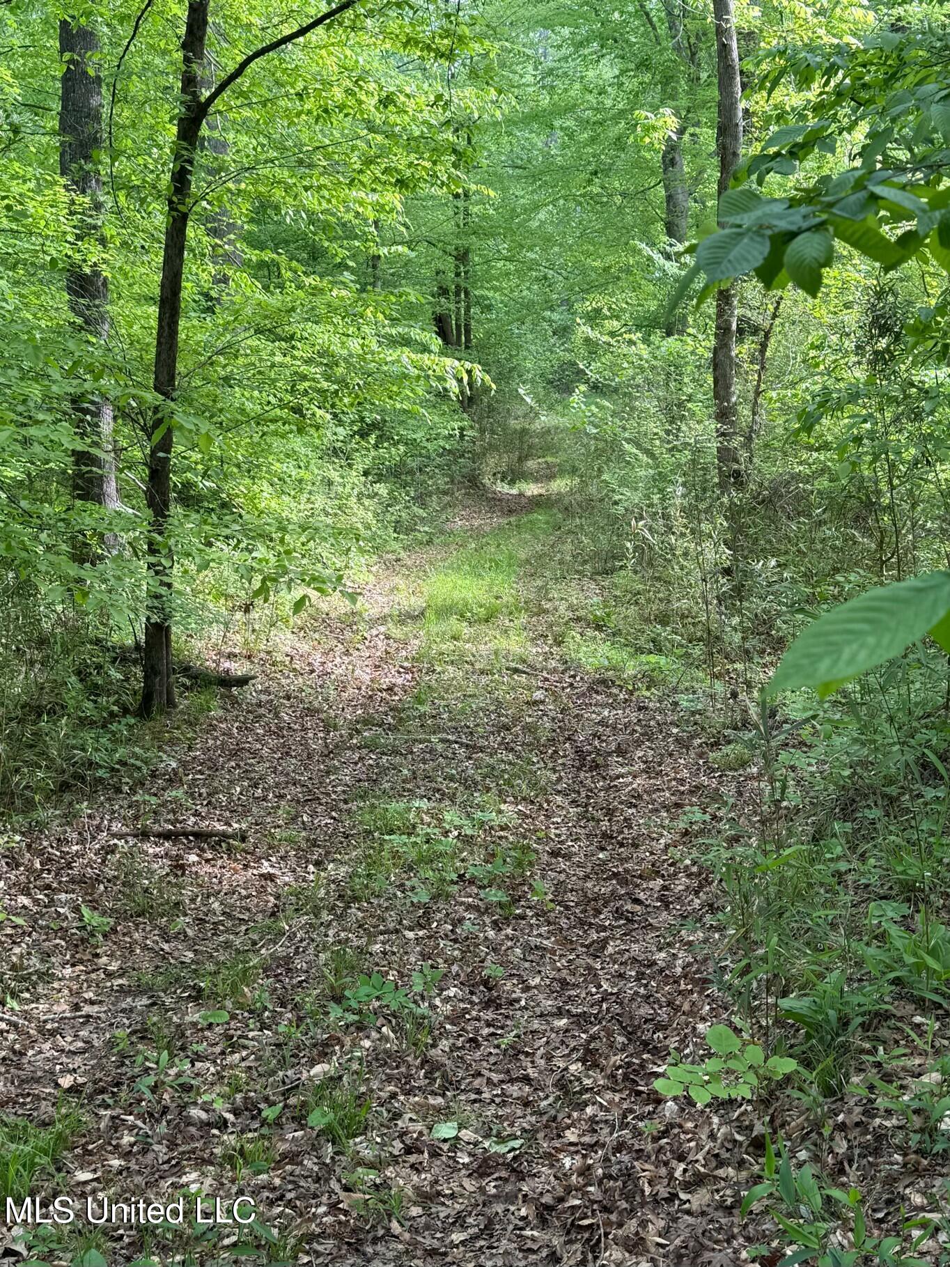 Eden Midway Road Yazoo City, MS 39194 - Photo 30 of 48 tempImageKHarCD