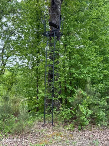 $569,500 | Eden Midway Road, Yazoo City, MS 39194