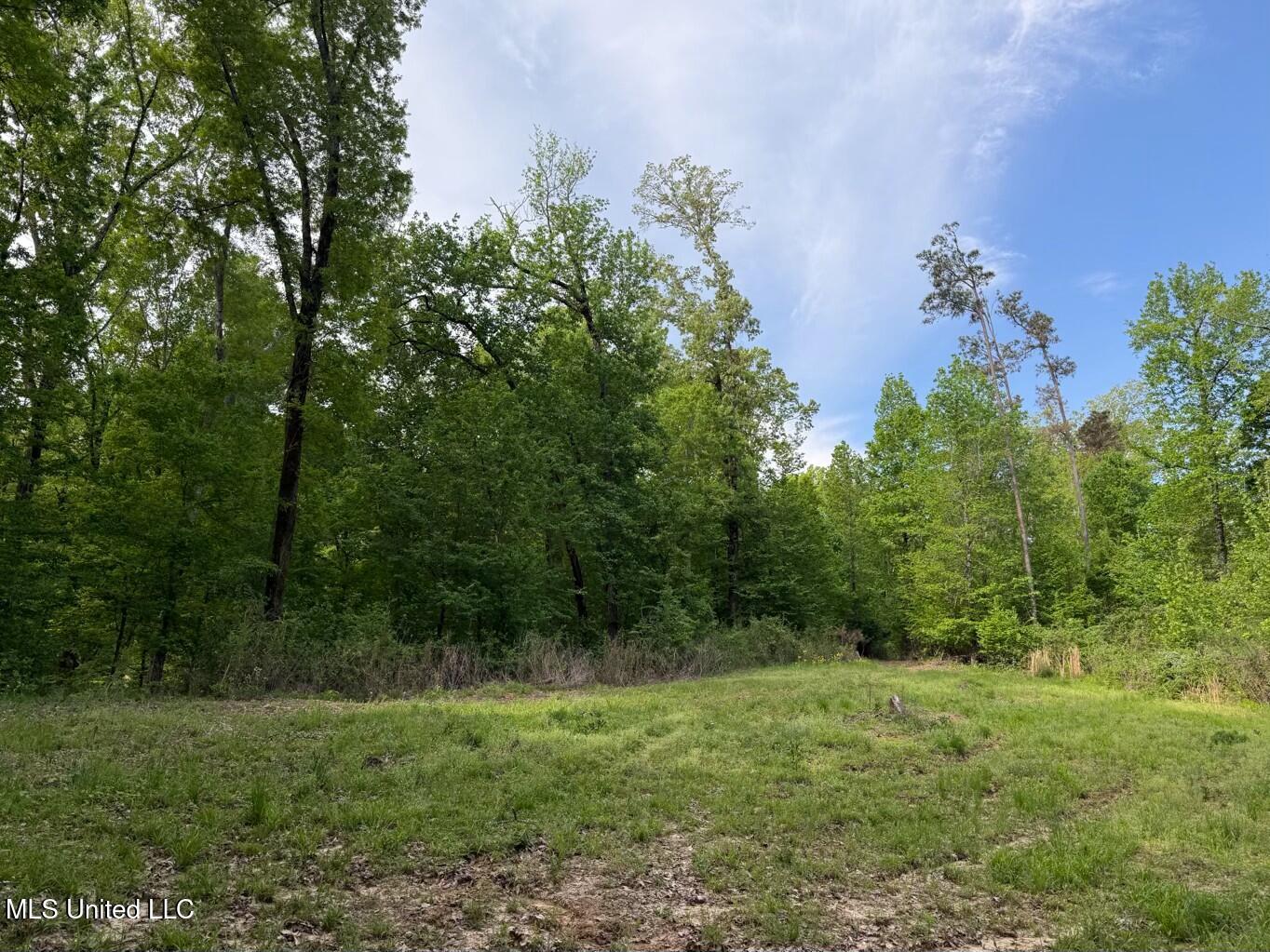 Eden Midway Road Yazoo City, MS 39194 - Photo 31 of 48 tempImageuRBHOu