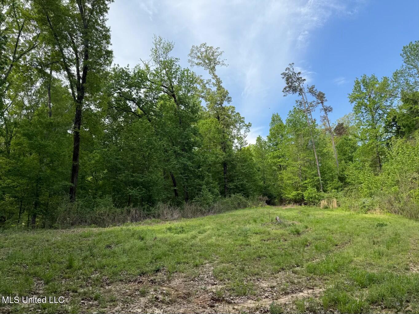 Eden Midway Road Yazoo City, MS 39194 - Photo 32 of 48 tempImagehSQA8z