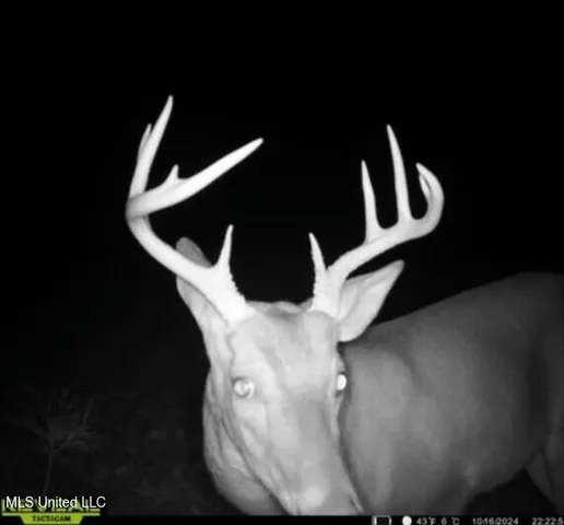 $569,500 | Eden Midway Road, Yazoo City, MS 39194