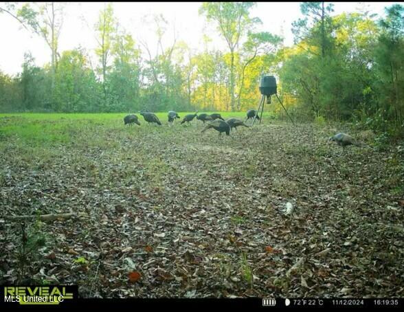 Eden Midway Road Yazoo City, MS 39194 - Photo 34 of 48 tempImageWoycJ0