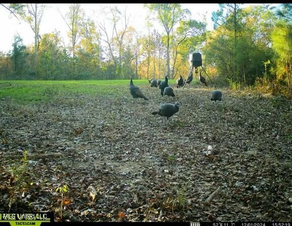Eden Midway Road Yazoo City, MS 39194 - Photo 35 of 48 tempImagehcVEfc