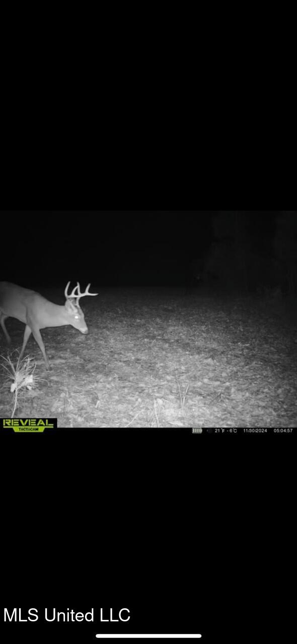 Eden Midway Road Yazoo City, MS 39194 - Photo 36 of 48 tempImageb0kda9