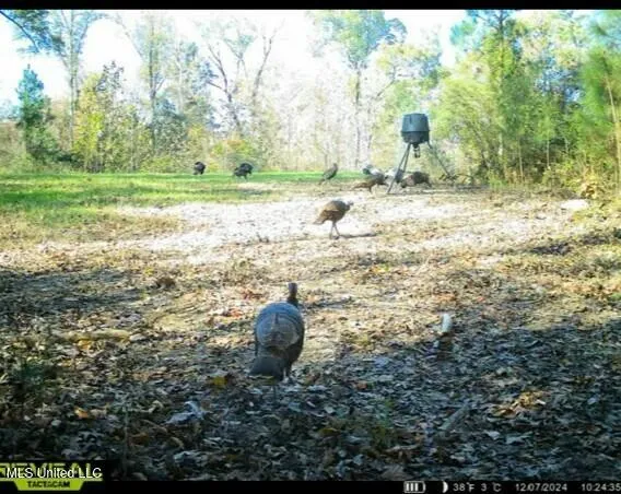 $569,500 | Eden Midway Road, Yazoo City, MS 39194