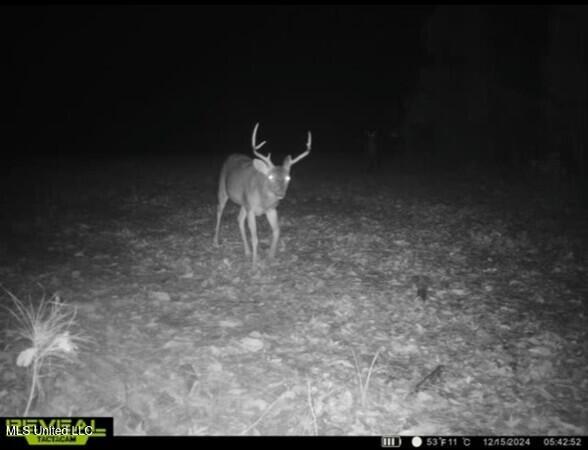 Eden Midway Road Yazoo City, MS 39194 - Photo 38 of 48 tempImageNNZoTy