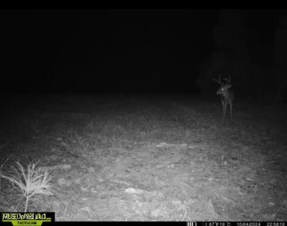 Eden Midway Road Yazoo City, MS 39194 - Photo 39 of 48 6