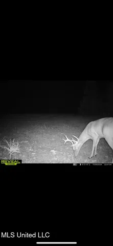 $569,500 | Eden Midway Road, Yazoo City, MS 39194