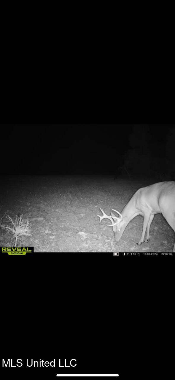 Eden Midway Road Yazoo City, MS 39194 - Photo 40 of 48 8