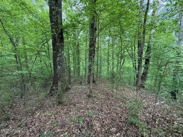 $569,500 | Eden Midway Road, Yazoo City, MS 39194