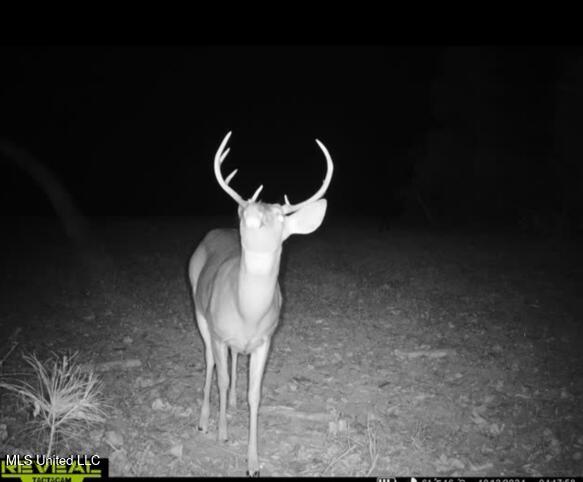 Eden Midway Road Yazoo City, MS 39194 - Photo 41 of 48 10