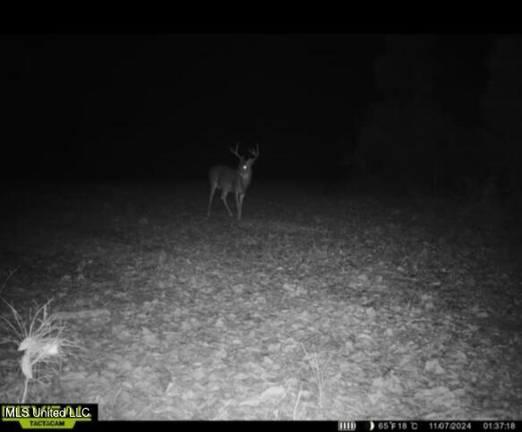 Eden Midway Road Yazoo City, MS 39194 - Photo 42 of 48 11